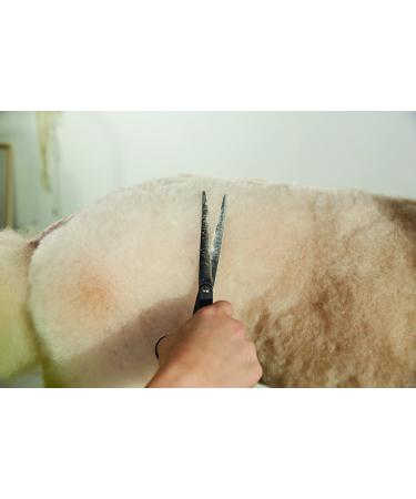 Andis Professional Left-Handed Straight Shears for Dog and Cat Grooming - Buy Online on GoSupps.com