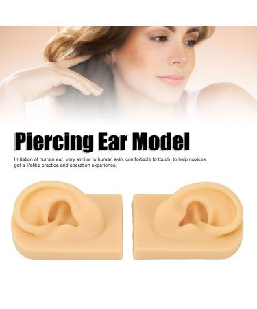 Silicone Ear Model for Acupuncture Training - Light Skin Color (1 Pair) - Buy Online on GoSupps.com