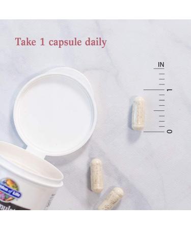 Garden of Life Dr. Formulated Platinum Series Skin+ Probiotic Supplement - 90 Billion CFU, 12 Strains, Vitamin A & Lycopene for Skin Health - 30 Capsules - Buy Online on GoSupps.com