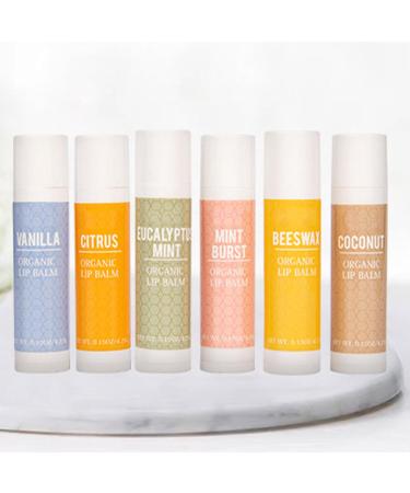 6 Pack Lip Balm Set Hydrating Moisturizer for Dry Lips with Soothing Formula Long Lasting Natural Oil Lip Care White One Size One Size White - Buy Online on GoSupps.com