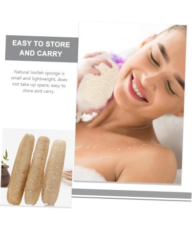 Buy Healeved 4pcs Natural Loofah Bath Balls - Exfoliating Body Scrubber & Kitchen Cleaner - International Shipping Available - Buy Online on GoSupps.com