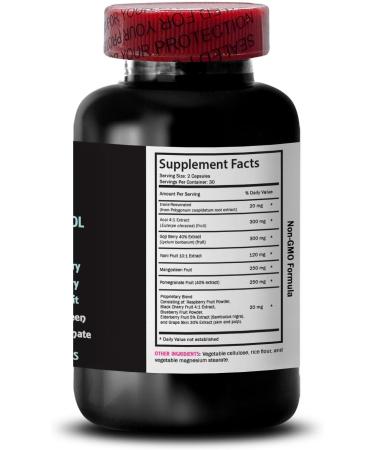 Elderberry Boost - RESVERATROL COMLEX - Goji Berry Shine Acai Berry Energy Pomegranate Energy Grape Skin Strength Daily Support Hydration Factor Nutritional Support 3 Bottles 180 Capsules - Buy Online on GoSupps.com