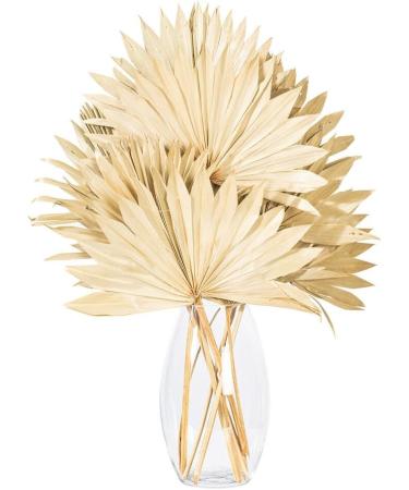 Vickerman Natural Botanicals 20" Natural Palm Sun Stem Real Preserved Foliage Stems Includes 12 Stems Per Pack - Buy Online on GoSupps.com