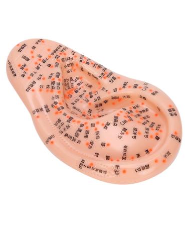 Human Ear Acupuncture Model with Acupuncture Points - Best Ear Massage Therapy Tool for Pain Relief & Wellness - Buy Online on GoSupps.com
