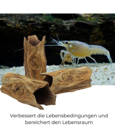 Spawning Cave for Fish & Crabs - Realistic Tree Trunk Aquarium Decoration | International Shipping - Buy Online on GoSupps.com