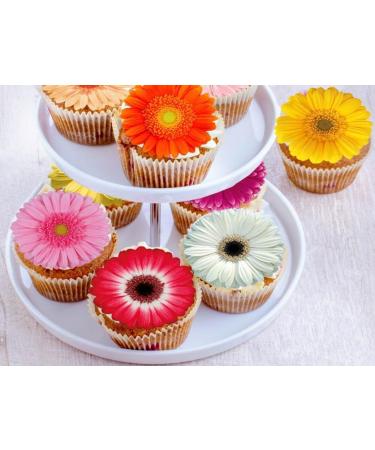 Pre-Cut Beautiful Gerbera Daisy A Edible Wafer Paper Flowers Cupcake Toppers Cake Decorations Birthday Party (12) - Buy Online on GoSupps.com