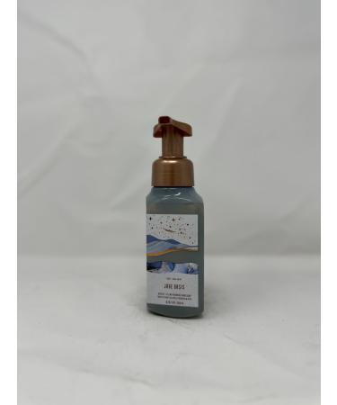 Jade Oasis Gentle + Clean Foaming Hand Soap 8.75 fl oz / 259 mL