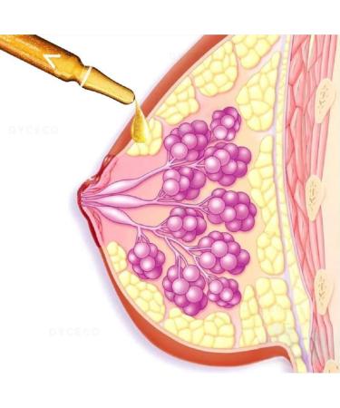 Dyceco Breast Enlargement Serum & Lift Ampoule - Fast Growth Tightening Essential Oil (3 Box) for Natural Enhancement - Buy Online on GoSupps.com