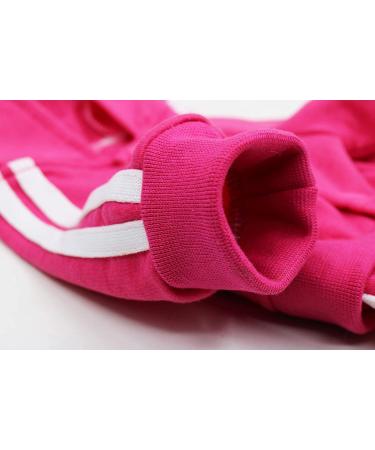 XXS Small Dog Hoodie: Girl Puppy Shirt for Extra Small Dogs - Rose Striped Sweatshirt - Buy Online on GoSupps.com