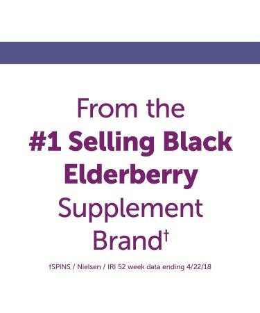 Nature's Way Sambucus Sugar-Free Elderberry Syrup 4 Oz - Immune Support Formula - Buy Online on GoSupps.com