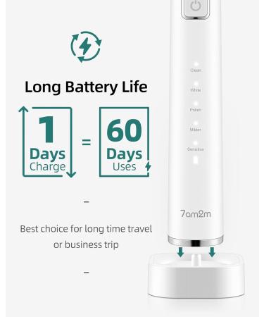 7am2m Sonic Electric Toothbrush with 6 Brush Heads for Adults and Kids Wireless Fast Charge One Charge for 60 Days 5 Modes with 2 Minutes Built in Smart Timer Electric Toothbrushes(White) No Travel Case White - Buy Online on GoSupps.com
