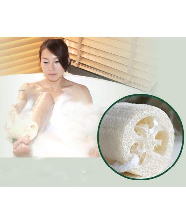 4 Pack Exfoliating Natural Loofah Bath Body Shower Sponge Scrubber - Premium Quality Luffa for Men and Women - Buy Online on GoSupps.com