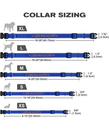 Personalized Large Dog Collar -Reflective Nylon with Pet Name & Phone Number - Tagme King Blue | 1 Pack - Buy Online on GoSupps.com