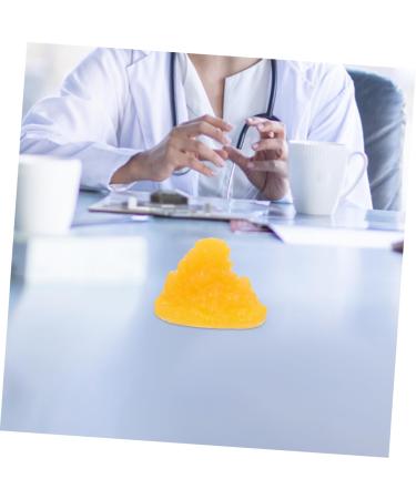 Gatuida Nutritionist 2pcs Fat Model Models Human Body Fat Replica Human Body 1-Pound Fat Replica Base Fitness Sports Fat 1lb - Buy Online on GoSupps.com