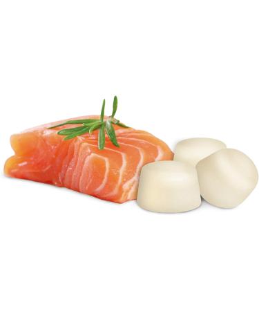 Beaphar Sheep Fat Bonbons with Salmon 245g Mini Treats for Dogs | International Shipping Available - Buy Online on GoSupps.com