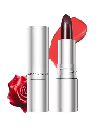 Long-lasting matte lipstick | Sweat-resistant Rose Black shade Matte Lips - For Travel Day Evening Party Makeup for Women and Girls