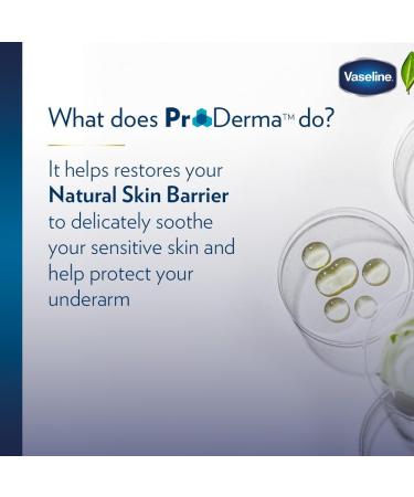  Vaseline Vaseline Men Active Dry 48h 250ml (lot de 3) - Buy Online on GoSupps.com