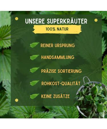 Buy 100% Pure Organic Nettle Powder Bio 500g - Superfood Rich in Magnesium Calcium & Potassium for Smoothies Muesli Soups & Pastries | Premium Raw Food - Buy Online on GoSupps.com