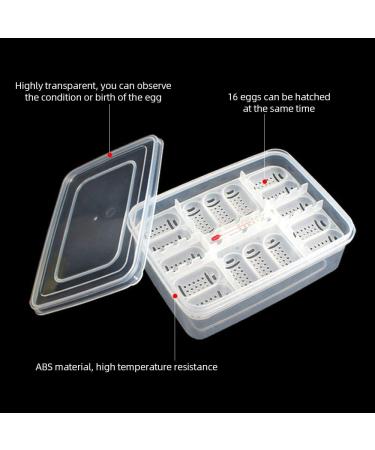 16 Grids Reptile Eggs Incubator Tray with Thermometer - Reptile Breeding Box for Hatching Snake, Lizards, Turtle, Gecko Egg - Buy Online on GoSupps.com