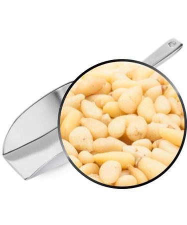 Buy 3kg Grade A Natural Pine Nuts - 100% Pure Superfood Sugar-Free Salt-Free Vegan Gluten-Free - Premium Quality Snack - Buy Online on GoSupps.com