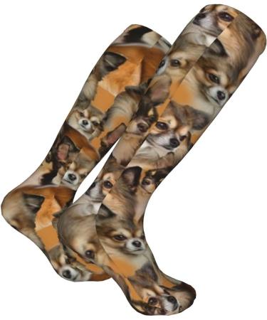 Chihuahua Dog Compression Socks for Men & Women - 15-20 mmHg Circulation Support for Running & Cycling - Buy Online on GoSupps.com