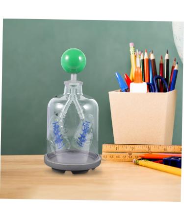 Buy Healvian Lung Breathing Model - Educational Human Body Organs Teaching Tool for Anatomy | International Shipping Available - Buy Online on GoSupps.com