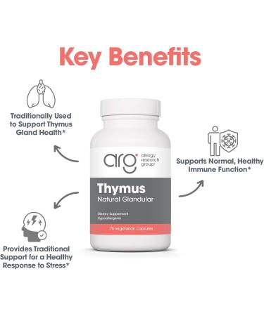Allergy Research Group Thymus Supplement - Thymus Tissue Glandular Extract 1000mg Raw Thymus Glandular Ovine Lyophilized Hypoallergenic - 75 Count - Buy Online on GoSupps.com
