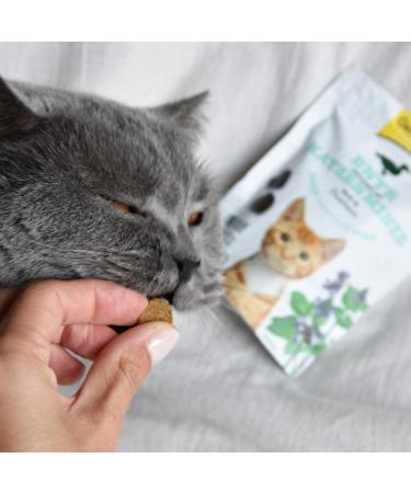 Gimcat Crunchy Snacks with Catnip - Protein-Rich Duck Delicacies No Added Sugar - 50g Bag for Cats - Buy Online on GoSupps.com