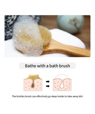 Zhurson Dry Body Brush - Natural Bristle Back & Shower Brush with Long Wooden Handle for Exfoliation Blood Circulation & Lymphatic Support - Buy Online on GoSupps.com