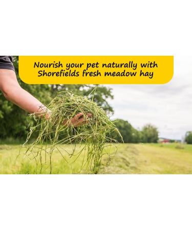 Shorefields Small Compact Meadow Hay Bagged 10kg - Buy Online on GoSupps.com