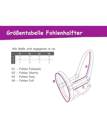 Buy Netproshop 3-Way Adjustable Foal Halter for Shetland & Falabella Ponies - Dark Blue | Best Quality Foal & Shetty Halters Online - Buy Online on GoSupps.com