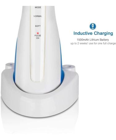 KouRy Cordless Water Flosser - 3 Modes Portable Dental Irrigator with 5 Jet Tips for Travel Braces & Bridges Care | Rechargeable Oral Cleaner - Buy Online on GoSupps.com