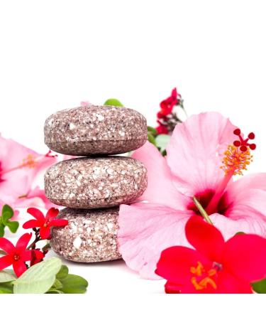 Surf Soap: Biodegradable Ocean & Reef Safe Shampoo, Conditioner & Body Wash Bar - Plastic Free & Vegan Hair and Skin Care for Beach, Boating, Camping & More - Buy Online on GoSupps.com