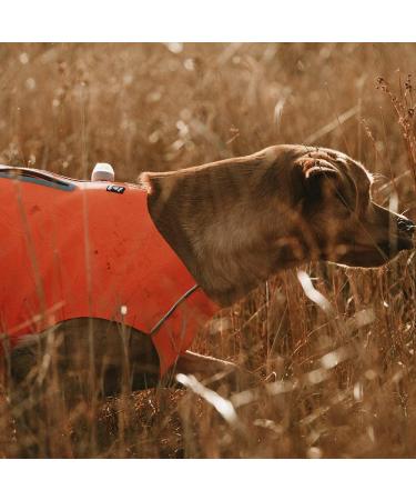 Hurtta Polar LED Light Attachment for Visibility Dog Vests - Buy Online on GoSupps.com