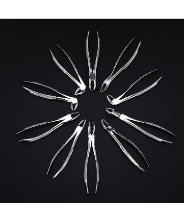 LMEILI Stainless Steel Tooth Extraction Forceps Kit - Dental Surgical Pliers for Adults | International Shipping Available - Buy Online on GoSupps.com