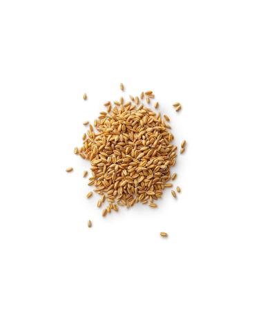 Royal Lee Organics Organic Spelt Berries 10 lbs - Premium Quality, 100% Whole Grain (Pack of 1) - Buy Online on GoSupps.com