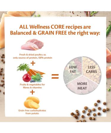Wellness CORE Kitten Original 1.75kg Turkey & Chicken Kitten Dry Food All-Natural Grain-Free High Meat Content Protein-Rich Supports Brain & Eye Development Dry Food 1.75kg - Buy Online on GoSupps.com