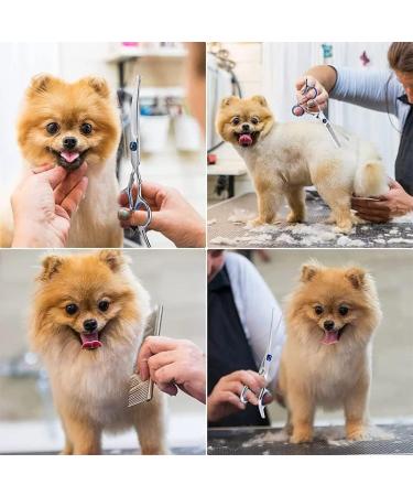 6.7 Inch Stainless Steel Dog Grooming Scissor Kit with Safety Round Tips - Pet Grooming Shears Set with Thinning & Curved Scissors for Hair Fur Care - Buy Online on GoSupps.com