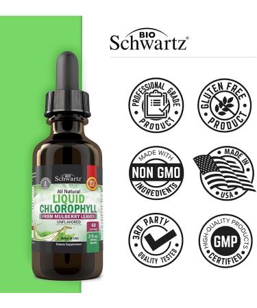 Chlorophyll Liquid Drops for Skin & Immune Support - Natural Detox & Energy Booster - Digestion Support - Deodorant for Women & Men - Vegan & Alcohol Free - 60 Servings - Buy Online on GoSupps.com
