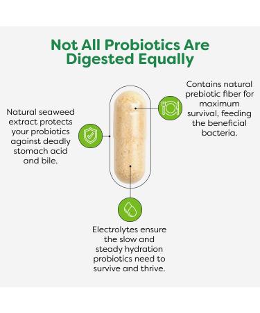 Probulin Total Care Probiotic Supplement Daily Gut Digestive and Immune Health Probiotics Capsules for Men and Women 20 Billion CFU Vegan 60 Count Bottle 60 Count (Pack of 1) - Buy Online on GoSupps.com