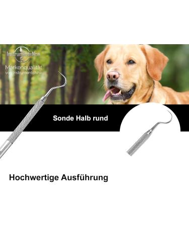 Effective Dog Tartar Remover - Stainless Steel Dental Care Tool for Pets | Pointed & Round Tooth Cleaner - Buy Online on GoSupps.com