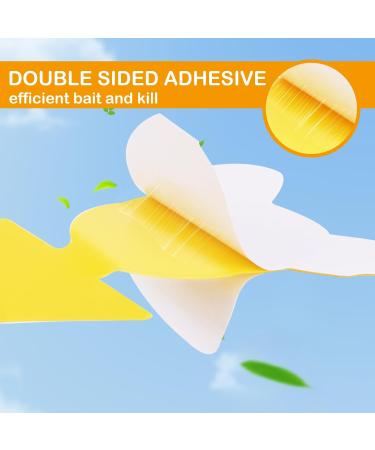 60-Piece Yellow Stickers for Fungus Gnats | Safe Odorless Adhesive Traps for Houseplants & Flowers - Effective Indoor & Outdoor Fly Control - Buy Online on GoSupps.com