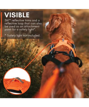 Non-stop dogwear FREEMOTION Harness 5.0 | Blue/Grey | Sport Dog Harness | Size 9 | International Shipping Available - Buy Online on GoSupps.com