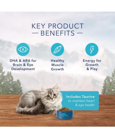 Blue Buffalo Wilderness High Protein Grain Free Natural Kitten Dry Cat Food Chicken 2.2kg bag - Medium Bag kibble Small Bag Kitten - Buy Online on GoSupps.com