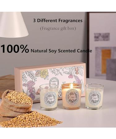 Rainfox Scented Candles Gift Kit - Aromatherapy Soy Wax Candle Set for Home & Women | International Shipping Available - Buy Online on GoSupps.com