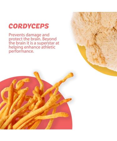 Roots Focus Nootropic Brain Supplement - Fruit Punch | Lion's Mane Cordyceps & Reishi Mushrooms + Extended-Release Caffeine - 50 Servings - Buy Online on GoSupps.com