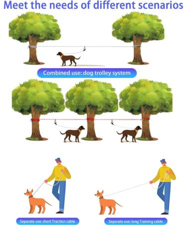 Loqatidis 3-in-1 Dog Leash | 50/100ft Portable Trolley System for Training & Outdoor Adventures | Reflective Rope for Camping & Parks | Perfect for 2 Dogs - Orange - Buy Online on GoSupps.com