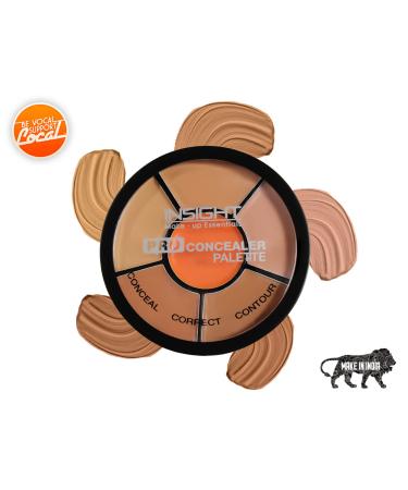 Insight Cosmetics Pro Concealer Palette - 15gm | Full Coverage Concealer Palette - Buy Online on GoSupps.com