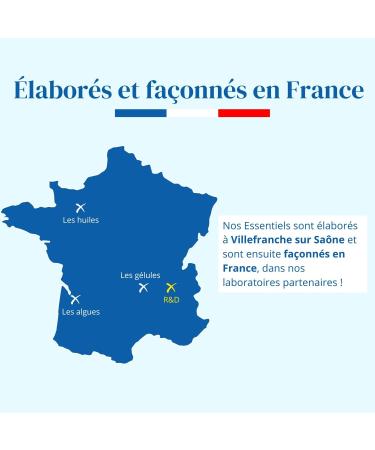 Food Supplement | Organic Biotin Vitamin B8 | Growth Growth Shine | Anti Loss | Millet Zinc Brewer's Yeast | Skin and Nails | Vegan - Made in France | Argalys - Buy Online on GoSupps.com