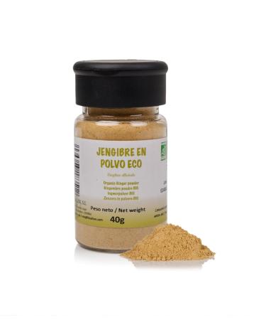 FRISAFRAN | Gingembre Bio en poudre 40g | pice | Alimentation naturelle | moulu | Assaisonnement | v g talien | sans additifs | saveur et ar me | Gingembre naturel | gingembre-moulu Gingembre 40g